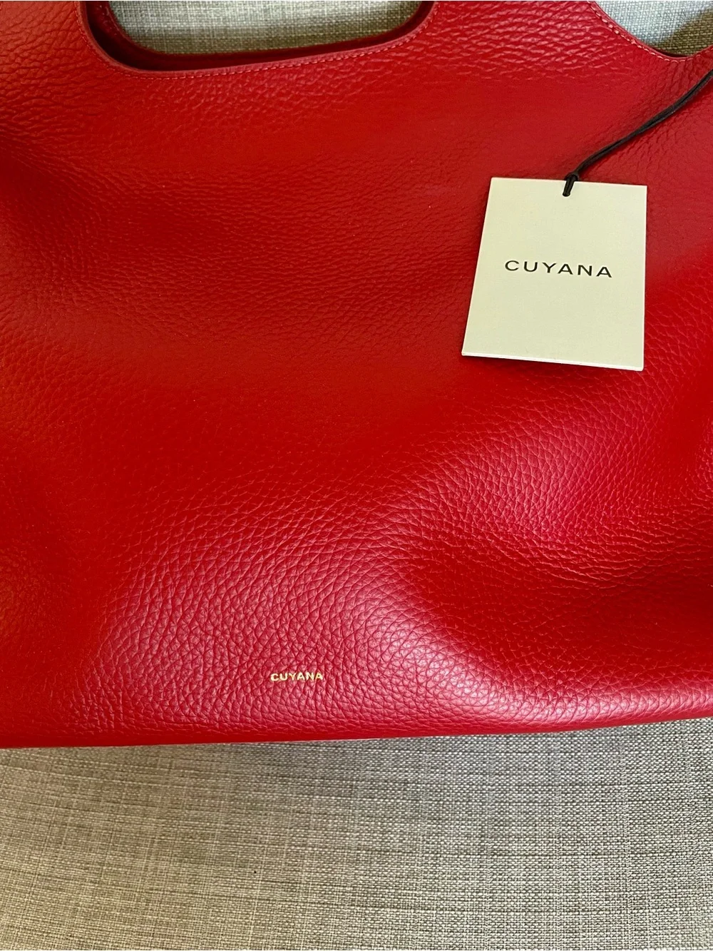 Cuyana Scarlet Pebbled Leather Tote